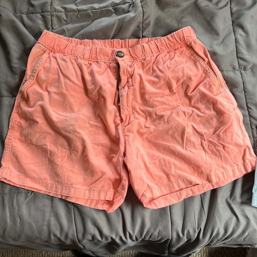 Chubbies shorts size medium (30-34 waist)